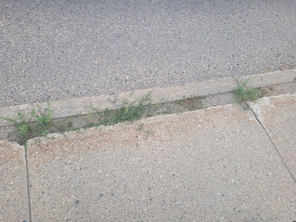 Large gap between sidewalk and curb